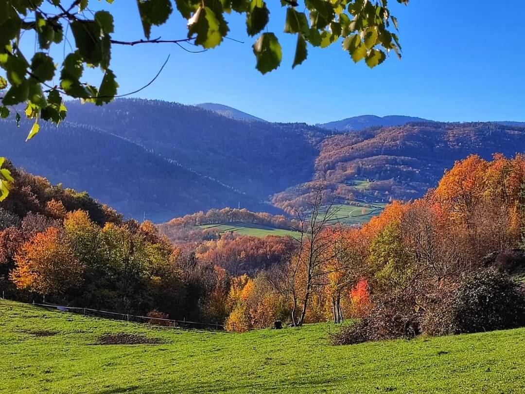Gite A La Source Breitenbach 외부 사진