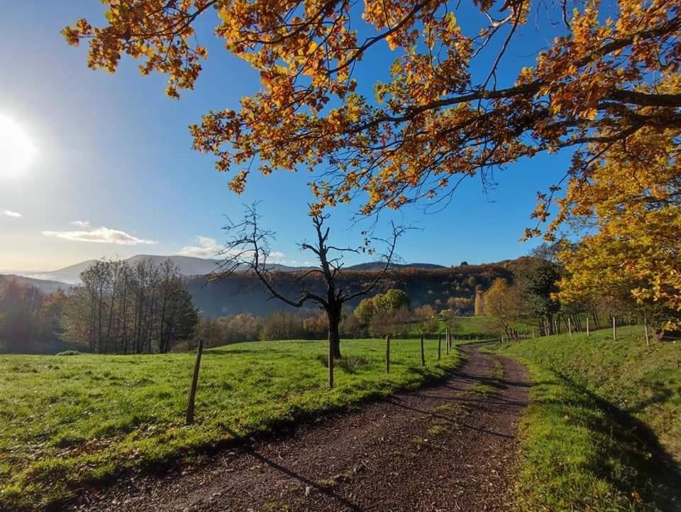 Gite A La Source Breitenbach 외부 사진